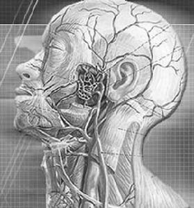 老年人帕金森病