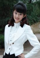 如意[2012年楊冪、劉愷威主演電視劇]