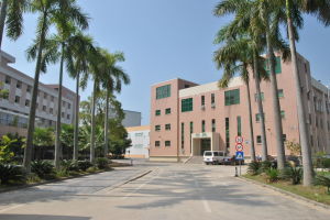 每日膳道 每日膳道