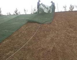 土體水分蒸發 土體水分蒸發