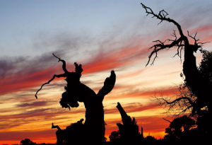 《大漠英雄》 《大漠英雄》