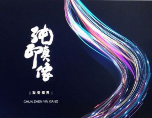 純真印像文化傳媒有限公司