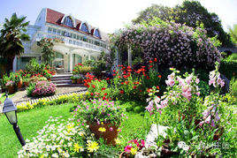 三棵樹莊園 三棵樹莊園