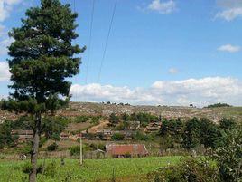 中海村[雲南省曲靖市會澤縣田壩鄉下轄村]