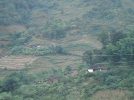 山後村[雲南寧洱縣普義鄉下轄村]
