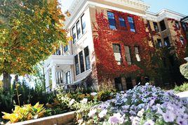 華爾道夫學院 華爾道夫學院