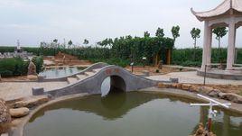 獅子張村 獅子張村