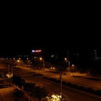 黃連木林 黃連木林