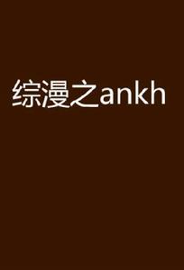 綜漫之ankh