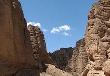 壽鹿山國家森林公園