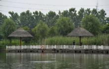 世外桃園休閒農莊