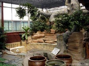 英達度假村 英達度假村