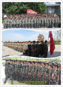 鄭州騰飛電腦培訓學校 鄭州騰飛電腦培訓學校