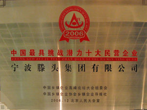 寧波滕頭集團有限公司座落於“全球生態500佳”—浙江奉化滕頭村。公司創建於1992年,是農業部批准的全國鄉鎮企業集團。現下轄各類企業60多家,是集工、農、貿於一體的村級經濟集團型企業。先後獲得全國經營之光杯特等獎、中國最大經營規模、最高利稅總額鄉鎮企業等稱號,2004年度還獲得浙江省百強民營企業稱號,並連續11年評為“AAA級企業”。公司註冊資金為5000萬元,總資產9.8億元,2007年,集團公司實現社會總產值30.2億元,創利稅3.25億元。