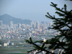 柳市平原 柳市平原