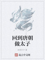 回到唐朝做太子 回到唐朝做太子