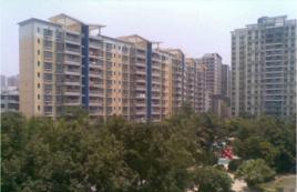 大世紀花園 大世紀花園