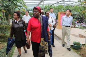 莫三比克解放陣線黨