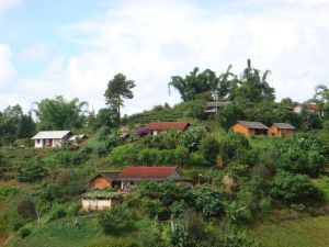 黃草嶺村 黃草嶺村