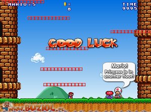 馬里奧的城堡2 馬里奧的城堡2