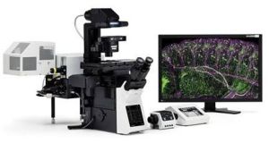 雷射共聚焦掃描顯微鏡