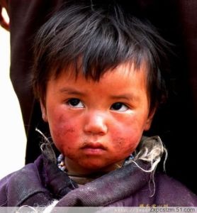 （圖）藏東愛心網