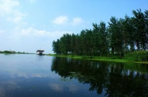 大縱湖風光帶 大縱湖風光帶