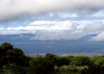 （圖）安波塞利