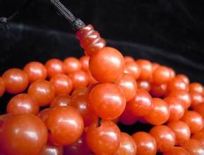 西藏念珠芥 西藏念珠芥