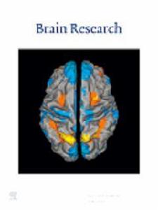 BRAIN RESEARCH BRAIN RESEARCH