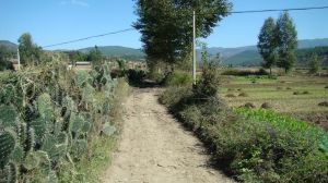 洪營自然村 洪營自然村