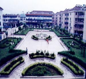 頂山街道 頂山街道