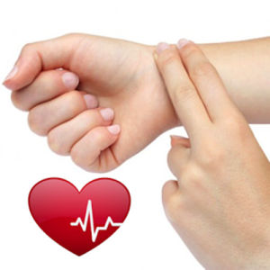 基礎脈搏 基礎脈搏