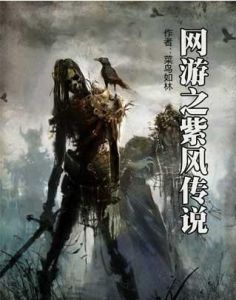 網遊之紫風傳說 網遊之紫風傳說