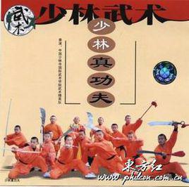 少林寺真功夫 少林寺真功夫