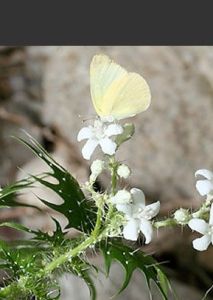壞女人[王建樹演唱歌曲]