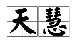 天慧 天慧