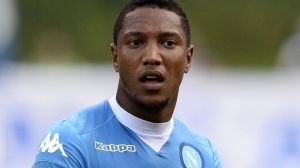 霍納桑·德古茲曼 霍納桑·德古茲曼