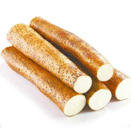 啟東沙地山藥 啟東沙地山藥