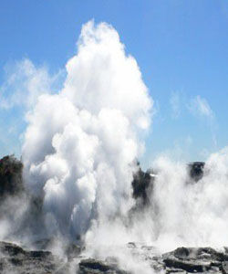 地熱活動生物效應 地熱活動生物效應