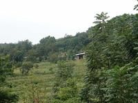 羅漢林自然村 羅漢林自然村