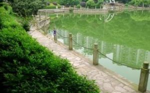 望月公園 望月公園