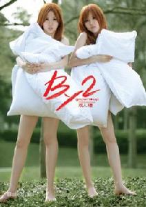 愛的雙重魔力 愛的雙重魔力