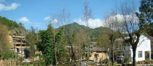 河東坪自然村 河東坪自然村