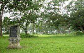 金田起義舊址 金田起義舊址