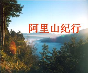 阿里山紀行 阿里山紀行