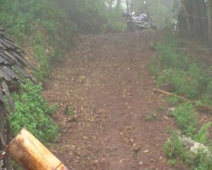 大樹田村 大樹田村