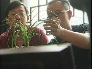 （圖）《走近科學》節目截圖