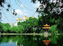 綠城南寧歡迎您！