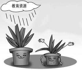 公平效應 公平效應